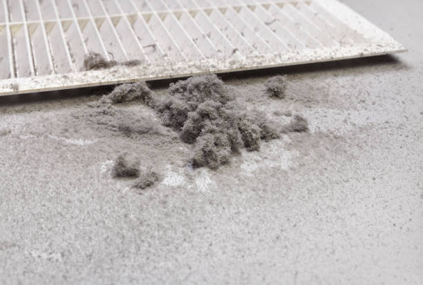 Best Professional Duct Cleaning Services  in Norwalk, CT